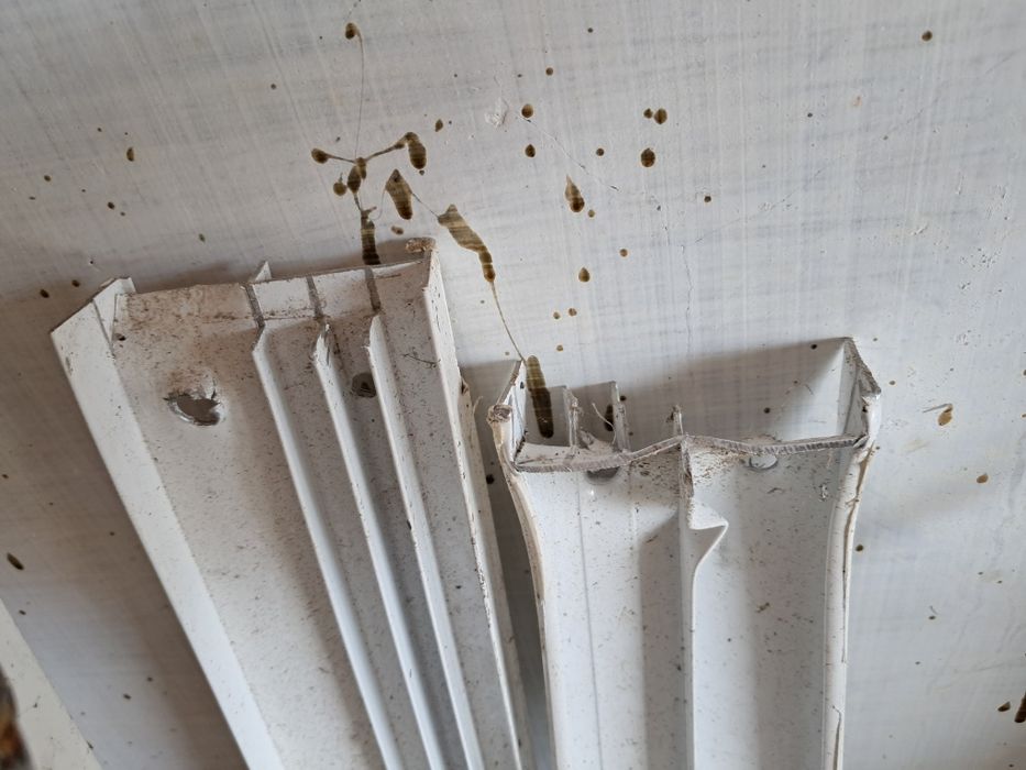 Janela Alumínio lacado-vidro duplo