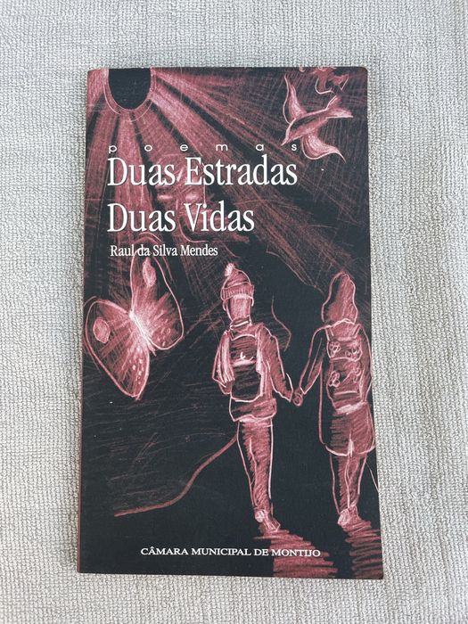Duas Estradas Duas Vidas - Raul da Silva Mendes