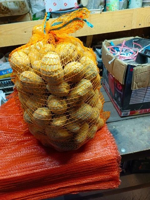 Ziemniaki Lily, Bellarosa-worki 15kg