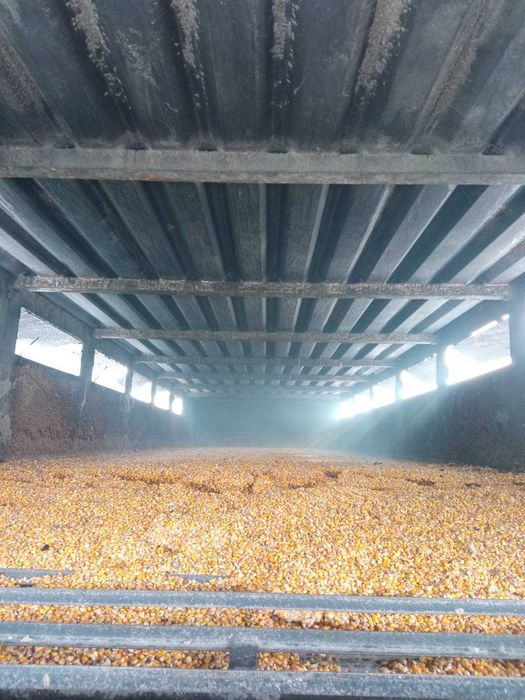 Сушка  для  тріски,щепи,тирси,жома,бузини, пеллет,біомаси