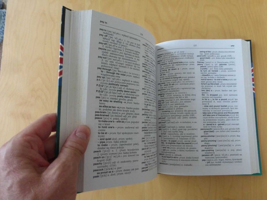 Podręczny słownik idiomów angielskich. Tomasz Wyżyński