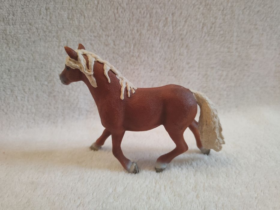 rodzina rasy haflinger schleich