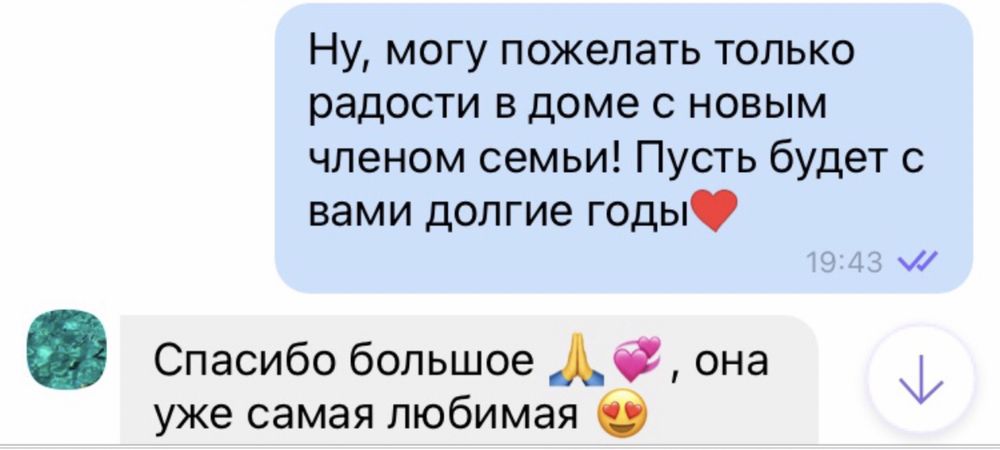 Милая девочка  той пуделя