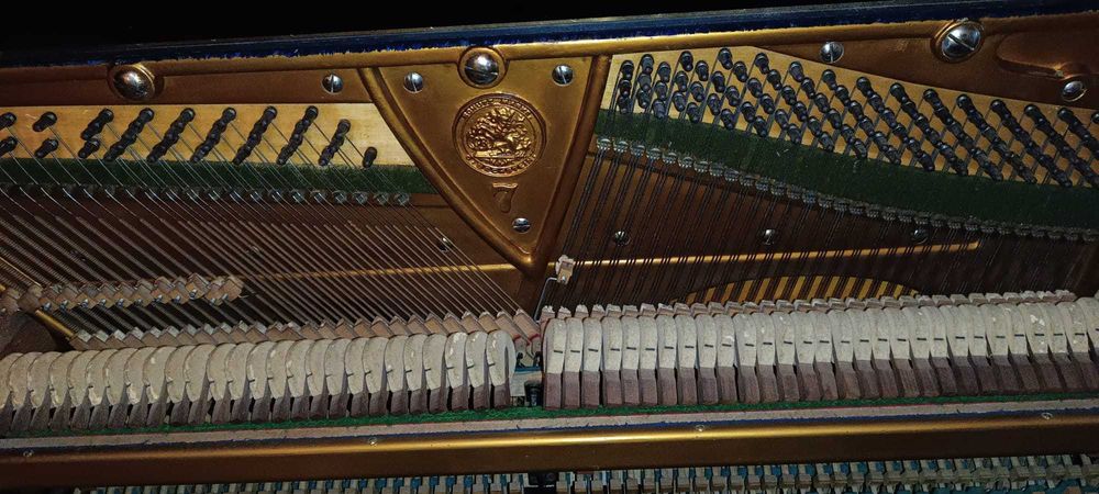 Vendo Piano de Parede C. Bechstein