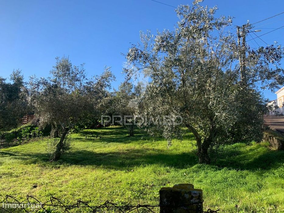 Land for Construction in Alvega