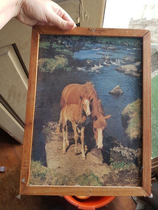 Various Paintings426581286705571847