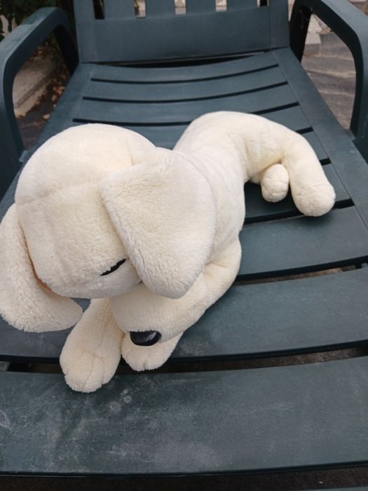 Peluche para o cão brincar como novo.