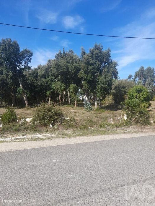 Terreno Agrícola em Aljubarrota