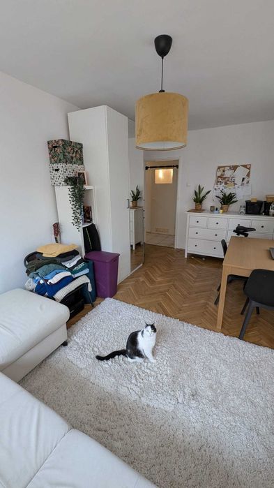 Wynajmę pokój dla młodej osoby studiującej/pracującej