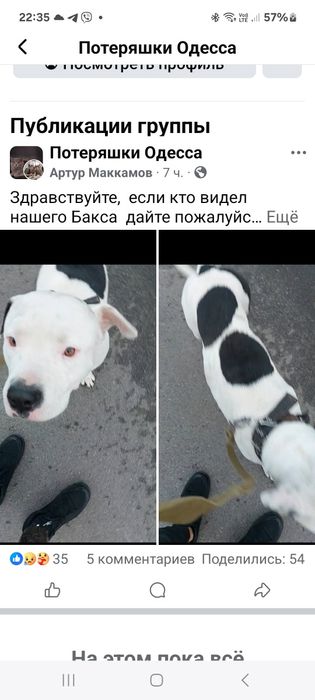 Пропал Стаф в Одессе,он переселенец из Херсонской области,его любят