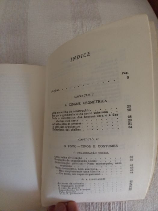 Livro antigo sobre as abelhas e o mel