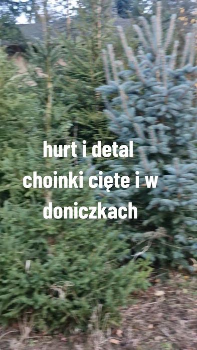 Choinka  hurt I detal
