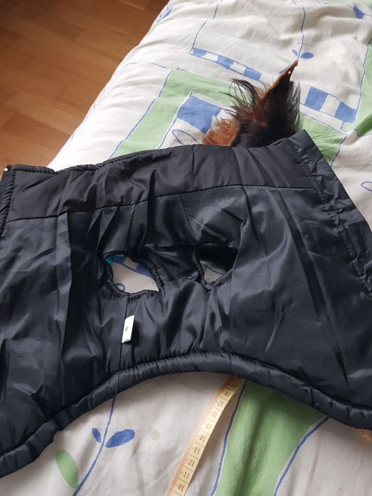 Одежа для собачки