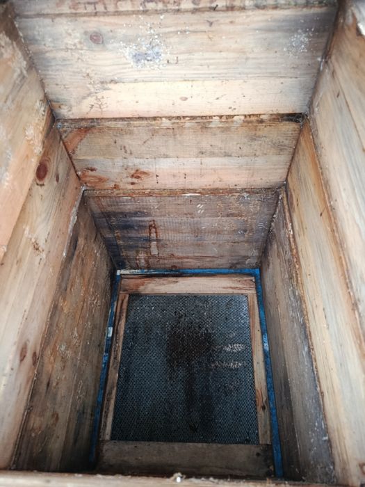 Вулик Дадан 10 рамок 300 + 145