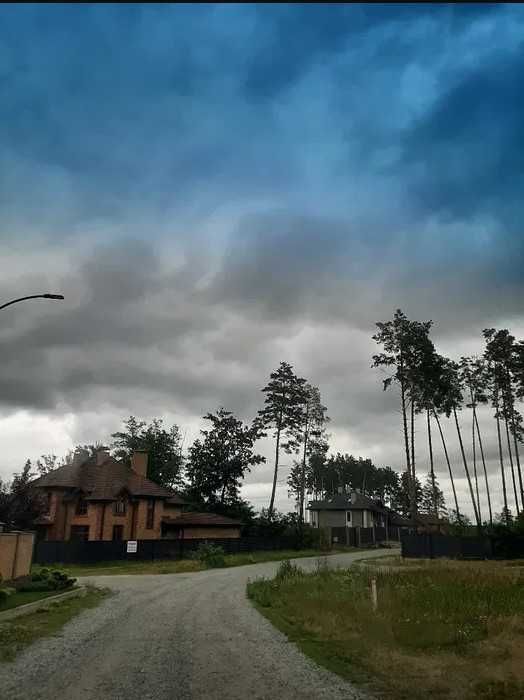 "Прокурорське містечко" с.Дмитрівка на ділянці сосни!