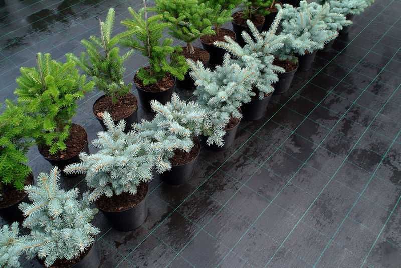 Агротканина, щільність 70, 90, 110, 135 г/м². Ширина 0.4 - 3,2м