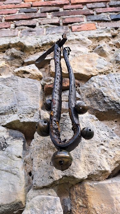 Janczar dzwonki konne