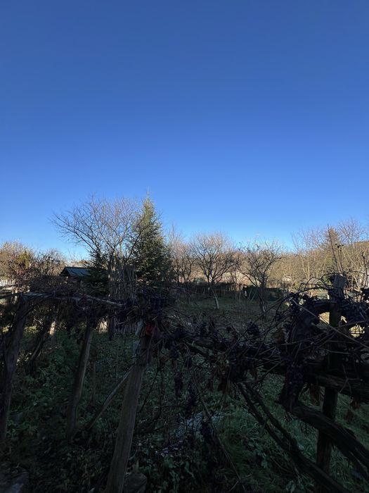 Калинка Велика за Підгайцями