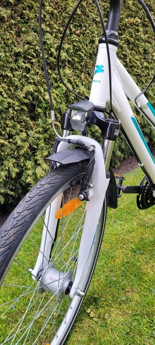 Rower Pegasus 26 cali