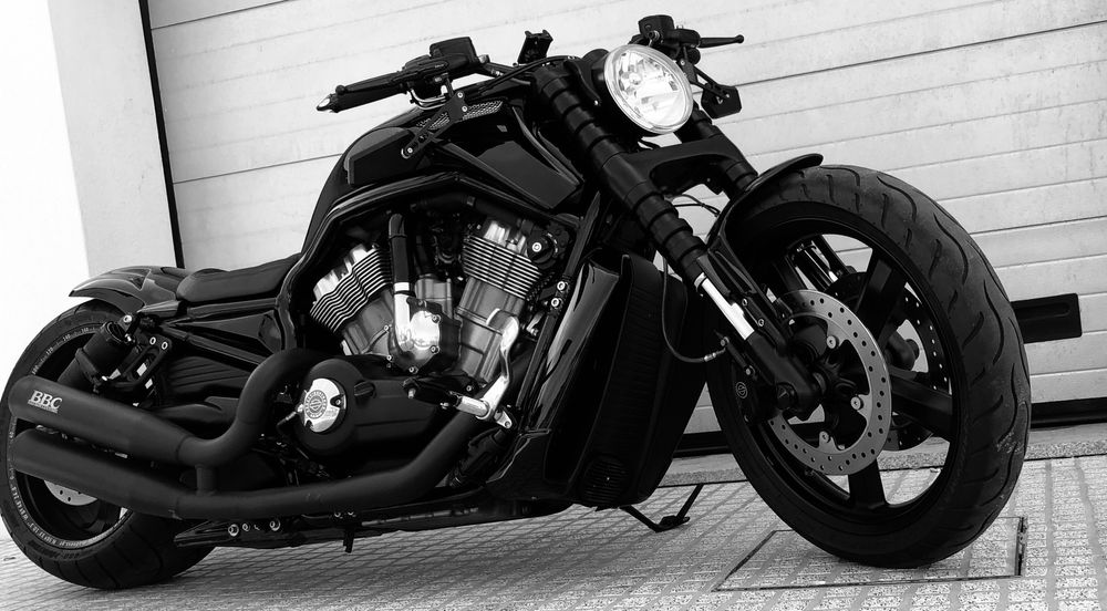Harley Davison Vrood Muscle
