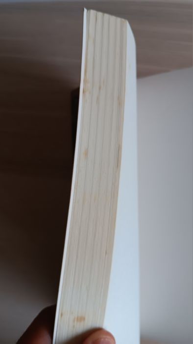 Fiódor Dostoiévski, Cadernos do Subterrâneo