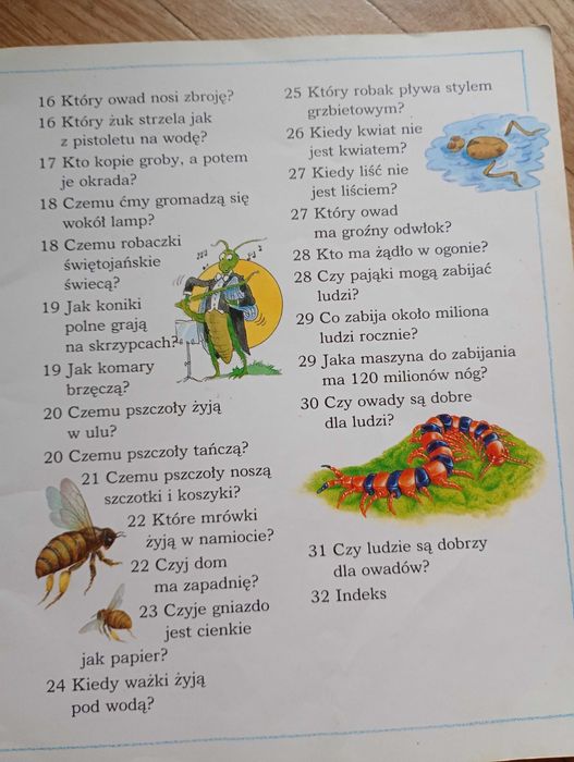,,Ciekawe dlaczego pająki tkają sieć"
