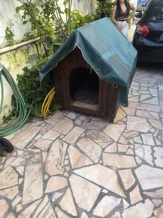 Casota de cão grande