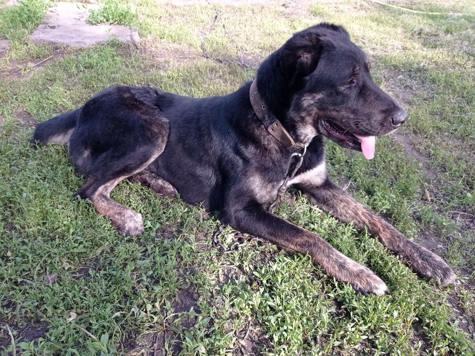 Терміново шукають родину