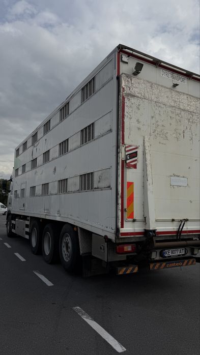 Volvo FH 540 скотовоз