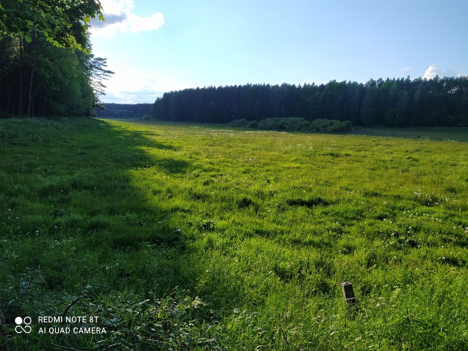 Sprzedam Łąkę 3.h - Widok 4
