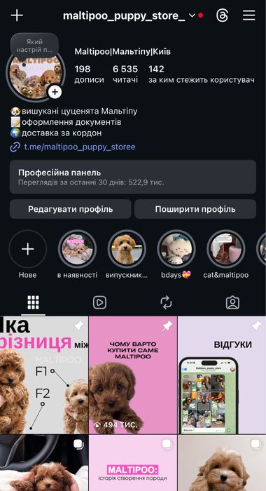 Неймовірний малюк Мальтипу F2 VIP