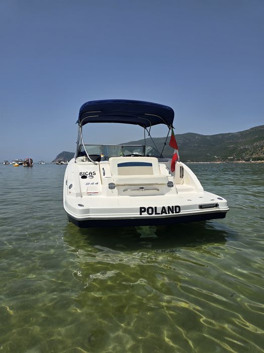 Chaparral 244 sunesta