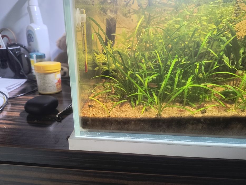 Akwarium69x39x20