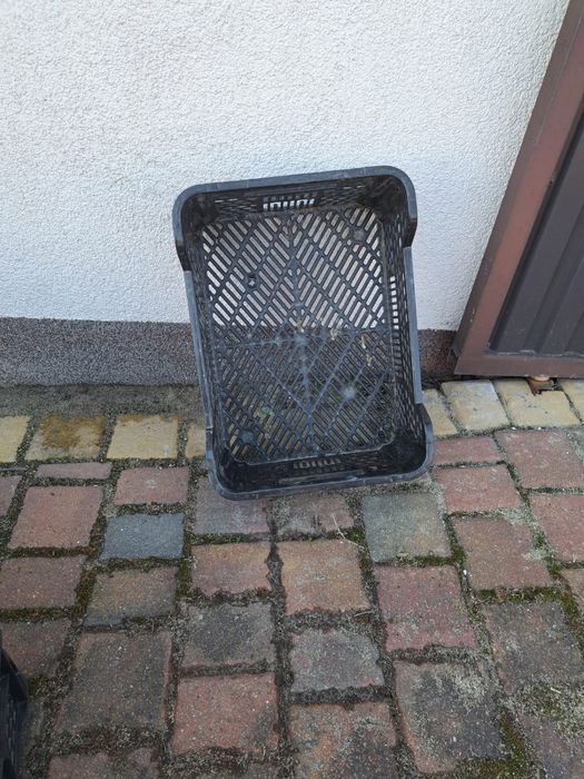 Skrzynki plastikowe na owoce 5 kg