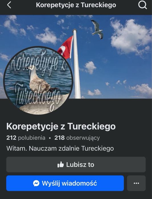 Korepetycje - Turecki online