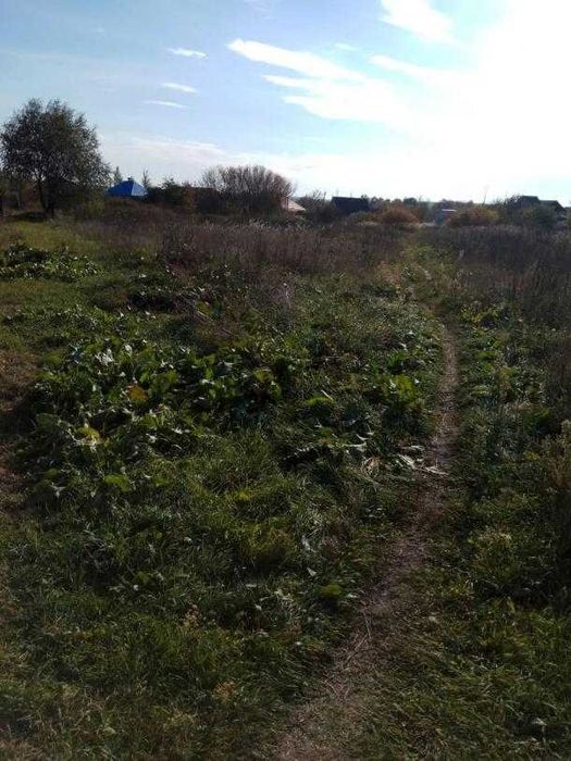 Продам участок в Солоницевке