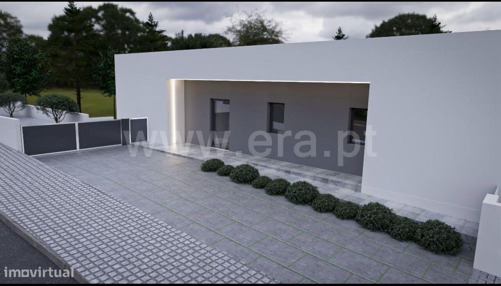 Lote / Covilhã, Cantar - Galo