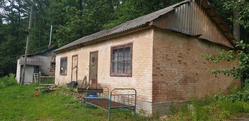 Продам будинок + парк 2 Га в Старому Мерчику | варіант для себе та бізнесу