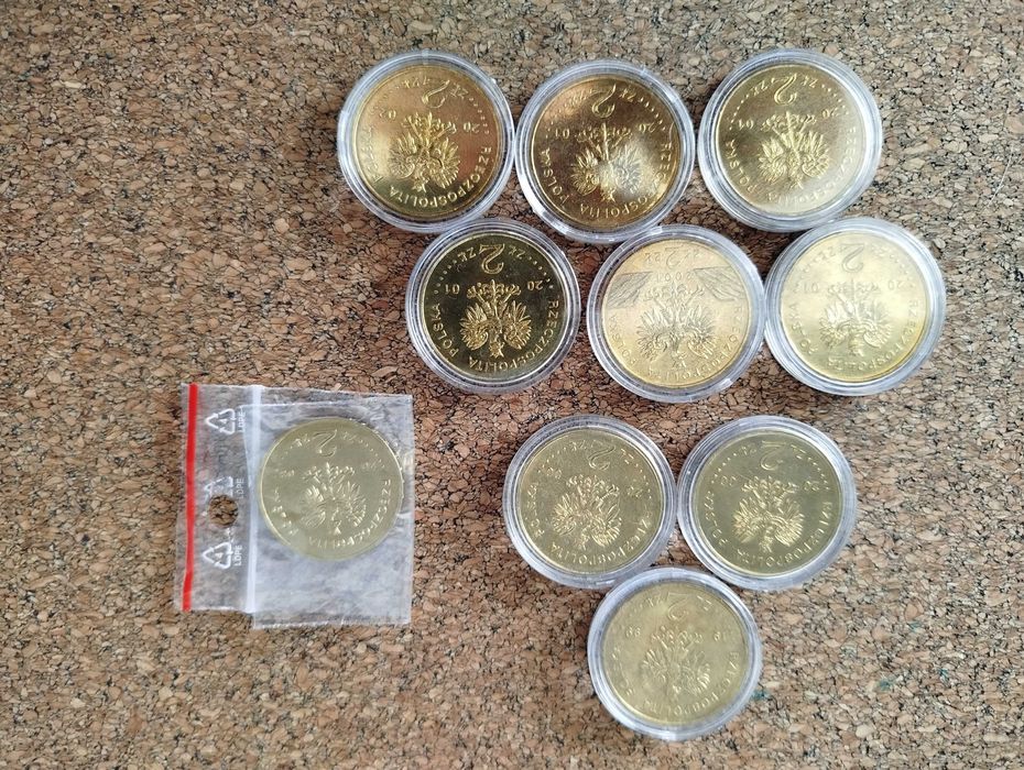 Monety kolekcjonerskie 2 zł Nordic Gold III RP pojedyncze 1999 do 2003