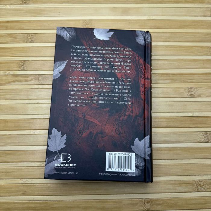 Тінь у жариві. Світло у пломені.Вогонь у плоті . Дженніфер Л Арментаут