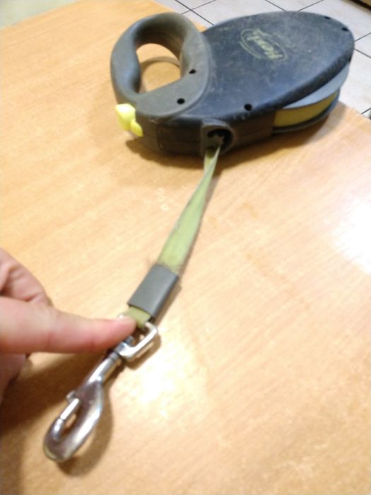 Smycz dla psa FLEXI Giant L 8 metrów