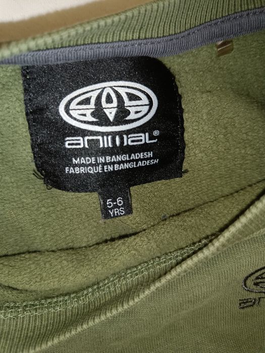 2x Bluza ANIMAL i H&M rozmiar 110-116