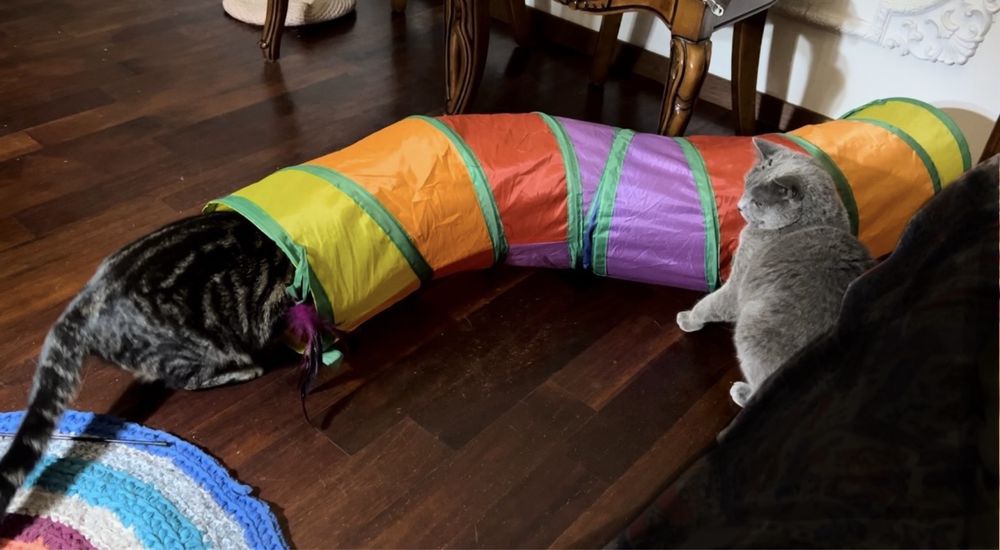 Тунель для котів або собак. Якщо олх-доставка, то +25грн комісії олх