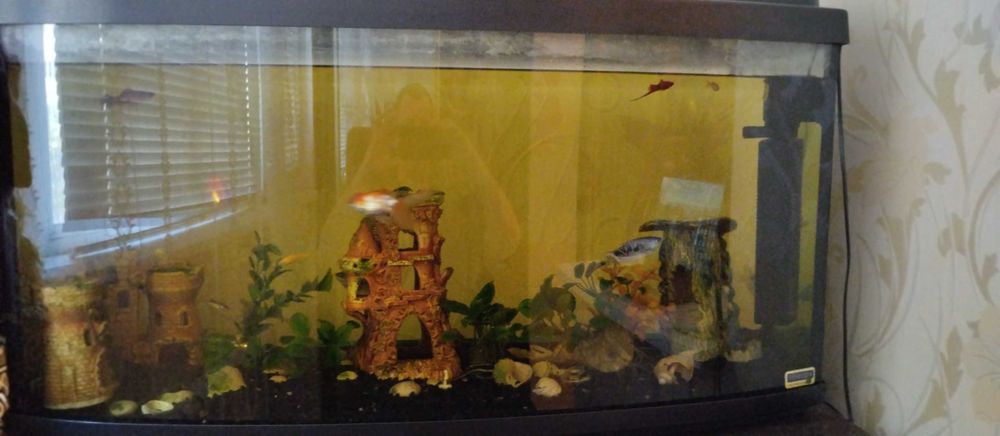 Аквариум Природа, 200л