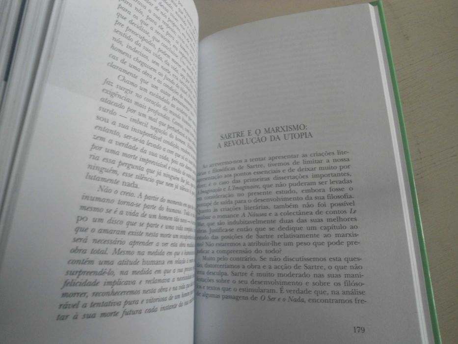 Sartre por Walter Biemel