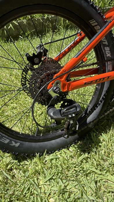 Scott Roxter 20”