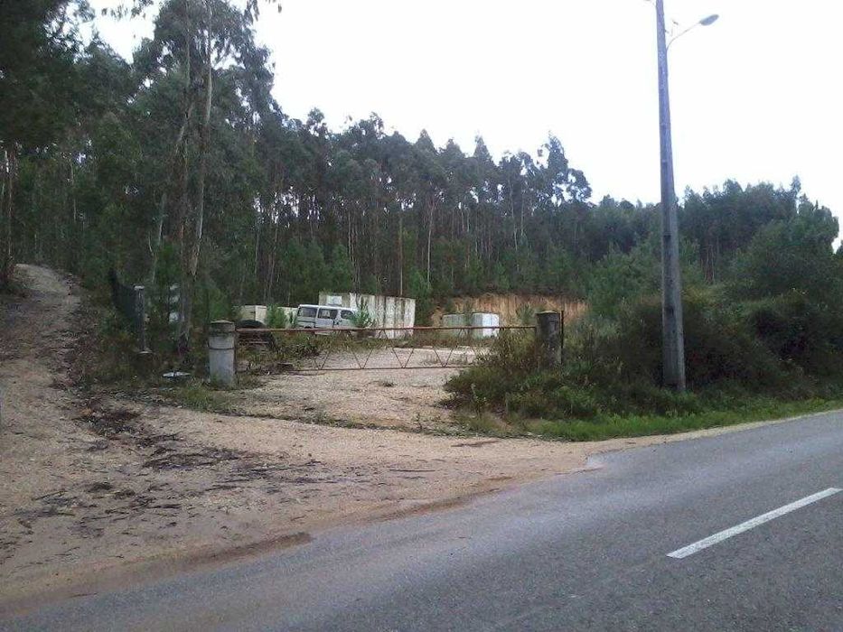 Terreno Rústico Para Construção De Moradia - Landal / Caldas Da Rainha