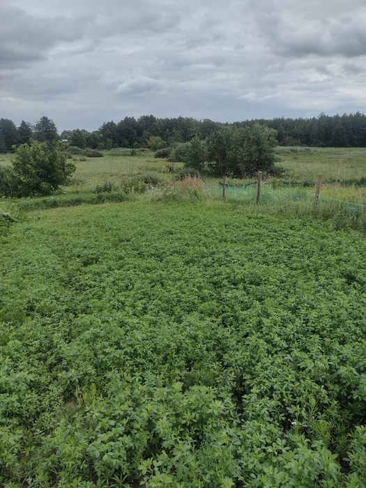 Продаж ділянки,під будівництво