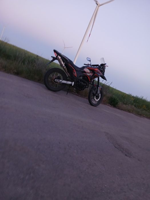 Musstang challenge gt 250