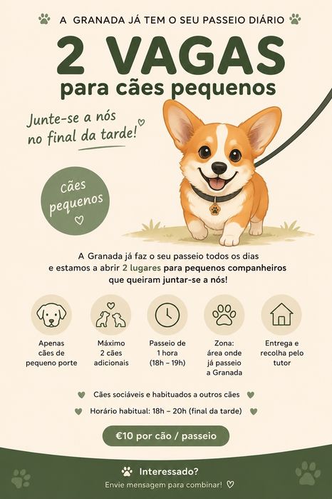 Passeios diários para cãopanheiros